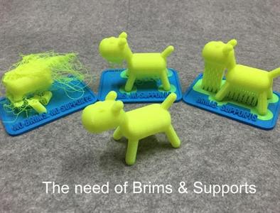 Teaching tool of 3D printer with brims & supports