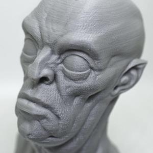 The Ghoul bust