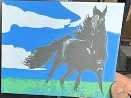 Horse Image