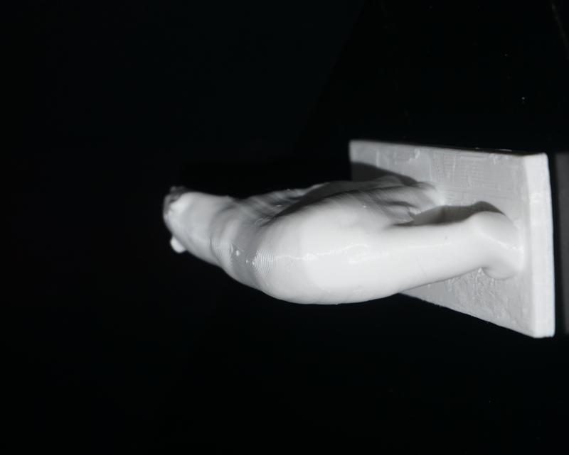 White Bear at The Middelheim Museum, Antwerp