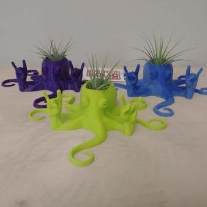 Rock2Pus Planter