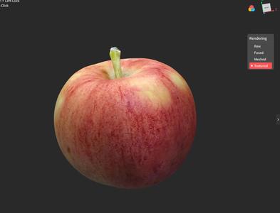 Two Textured Apples