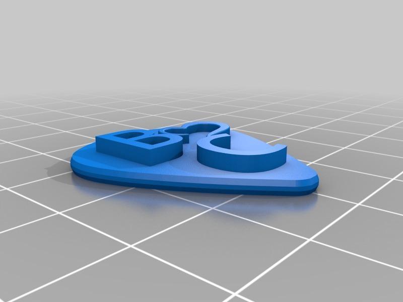 wedding guitar pick present