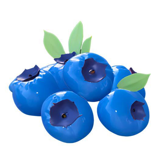 Blueberry Bunch