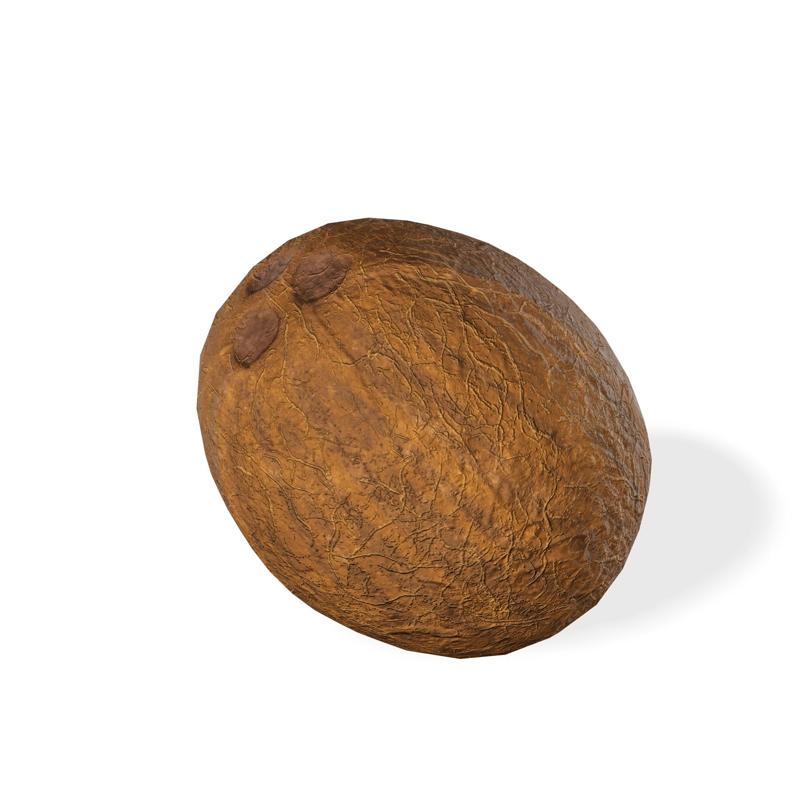 COCONUT VEGETABLE FRUIT TREE FOREST WOODEN WOOD COCONUT PLANT FOOD DRINK JUICE NATURE VEGETABLE Coconut D