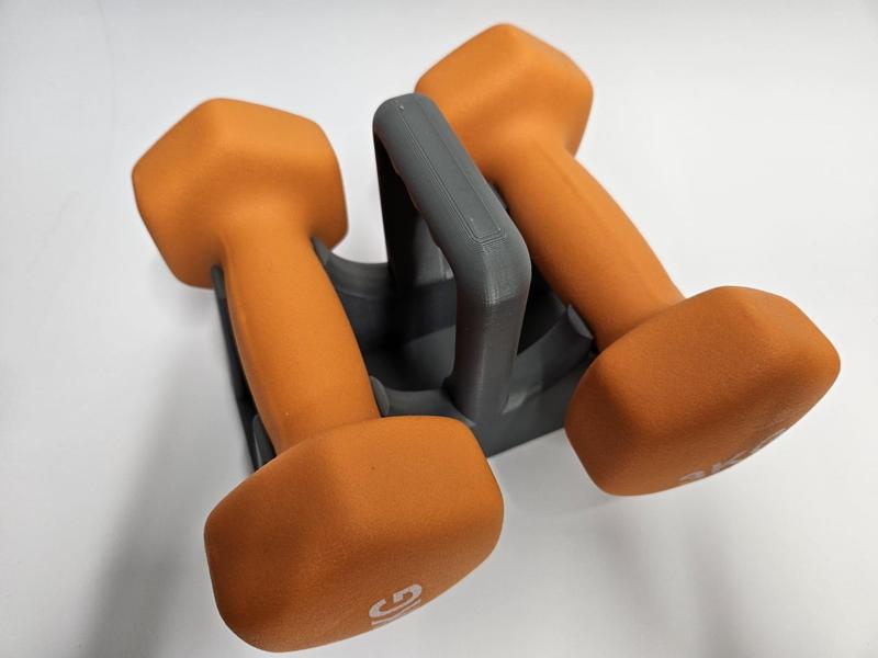 Dumbbell holder with carry handle