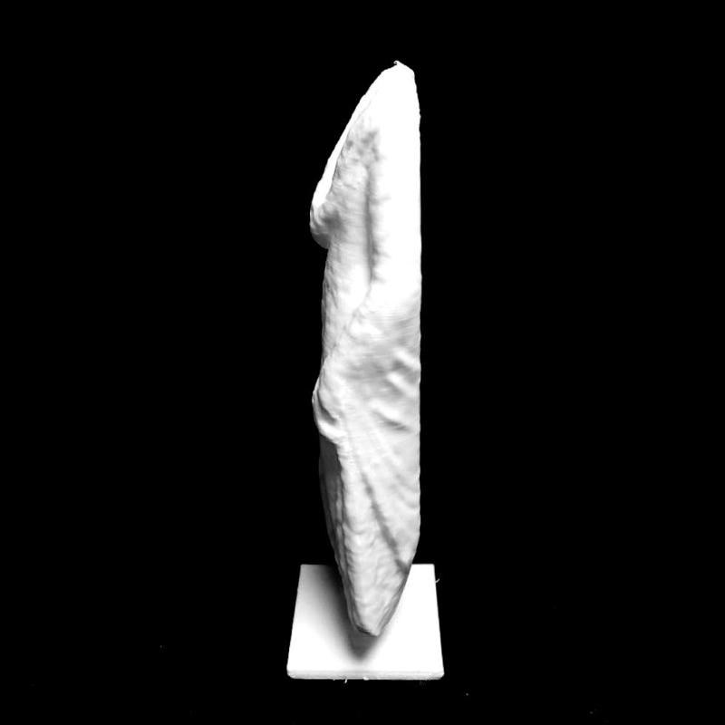 Draped Man at The Musée des Beaux-Arts, Lyon