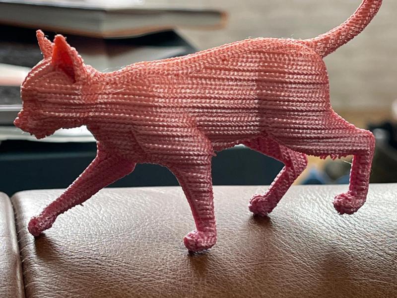 A cat in a knitted outfit