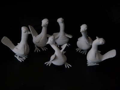 Dancing Pigeons
