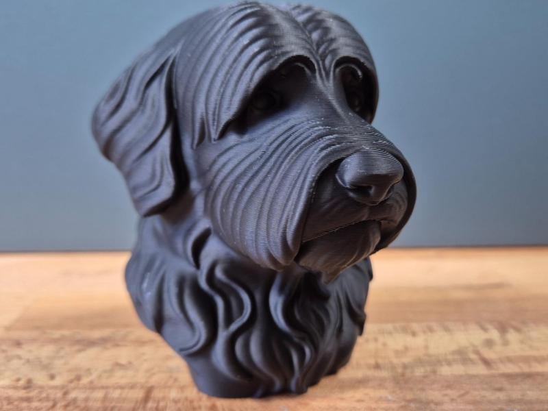 Bobtail (Schapendoes) Bust