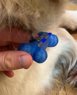 Name Tag For Dog - 3D Bone shape