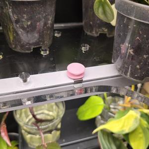 Light and Wire mount for Ikea Rudsta Greenhouse 