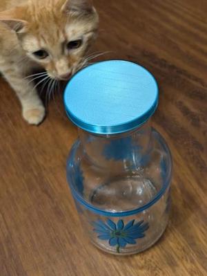 Juice Jug Lid 85mm