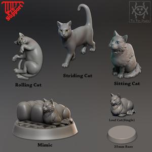 Companion Cats pack