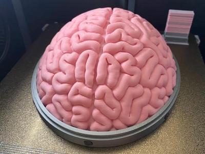 Brain Hat