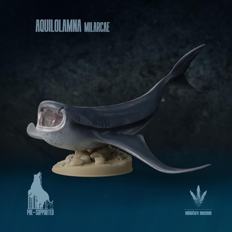 Aquilolamna milarcae : Prehistoric Shark