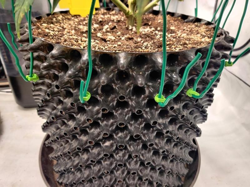 Hook for Superoot Air-Pot (Plant Training Aid)