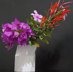 alastair's smart vase/cup
