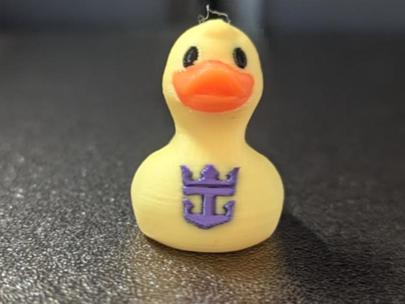 Royal Caribbean Duck