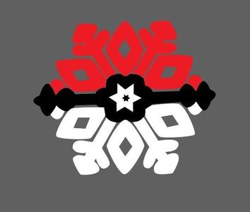 Pokémon / POKE Ball / Anime / Ornament / Christmas