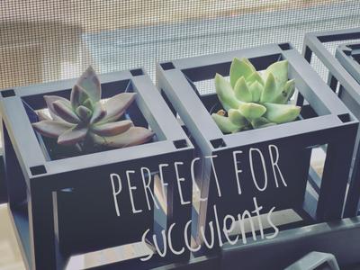 Hypercube Planter