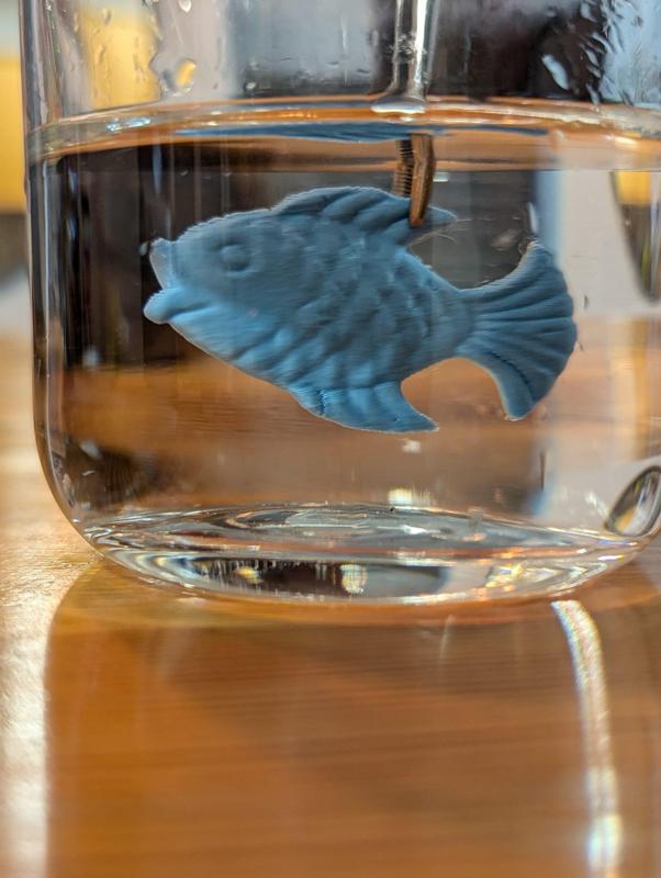 fish
