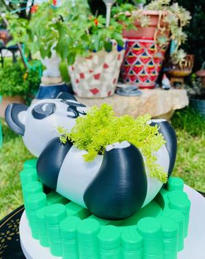 Panda Planter/Bowl with Bamboo Tray