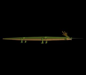 Dragon Ball Shenron