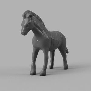 zebre
