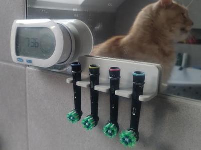 oral-b toothbrush holder