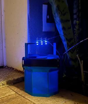 Fly Trap