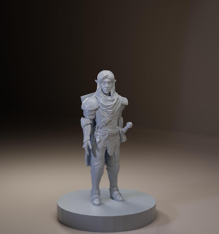 Alistar - Half elf Eldritch knight - Pose 1