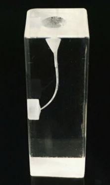 Endo dental canal curved practice blocks