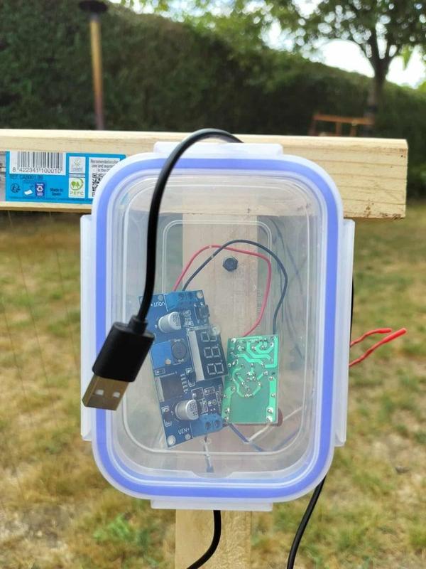 Aziatische hoornaars harp