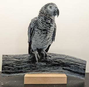 HueForge - Grey Parrot