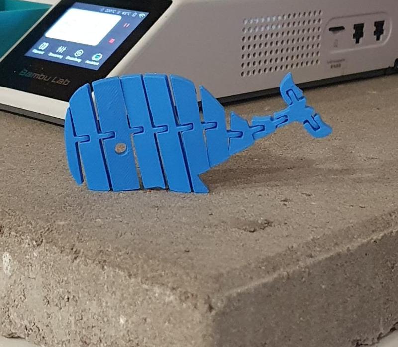 Flexi Articulated Whale Print in Place
