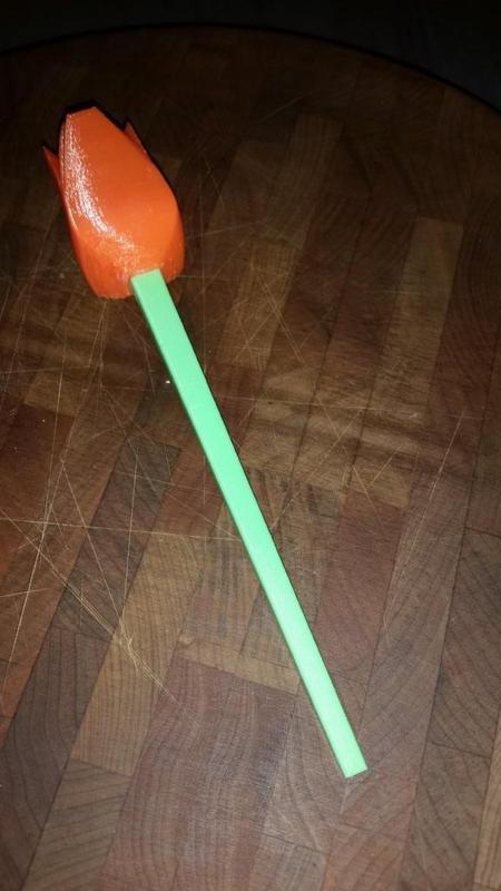 Stem and flat base of Tulip by Hadamard90