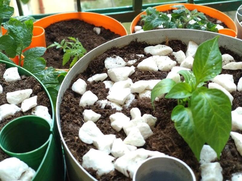 Self watering pot for vase mode