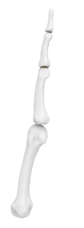 Flexible Index finger