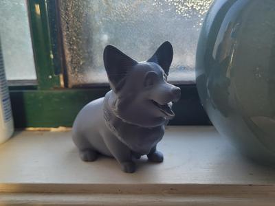 Adorable Corgi