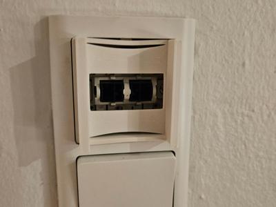 Fuge Hue adapter with flex