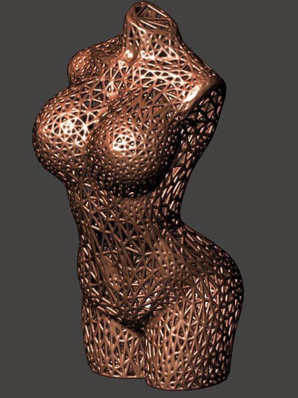 femme nue voronoi type 2