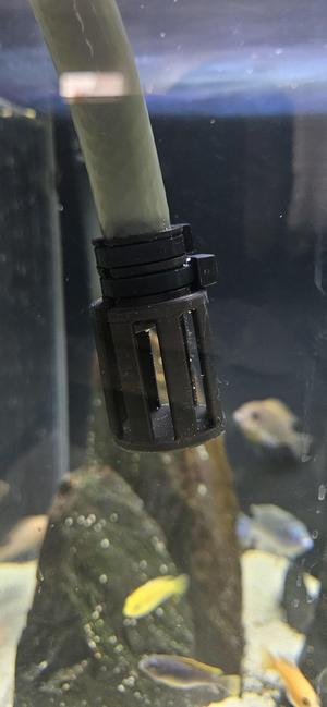 Aquarium Hose Water Diffuser / Filter