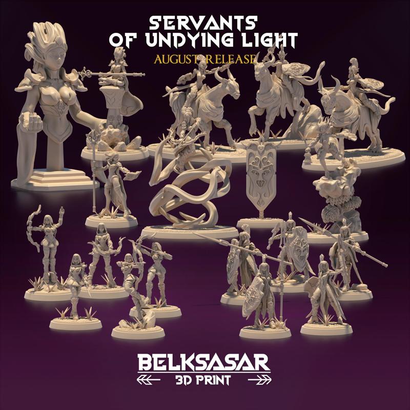 Servants of Undying Light - Crusader