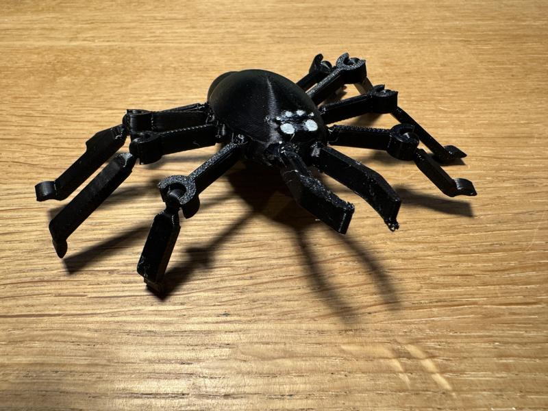 Spider Model