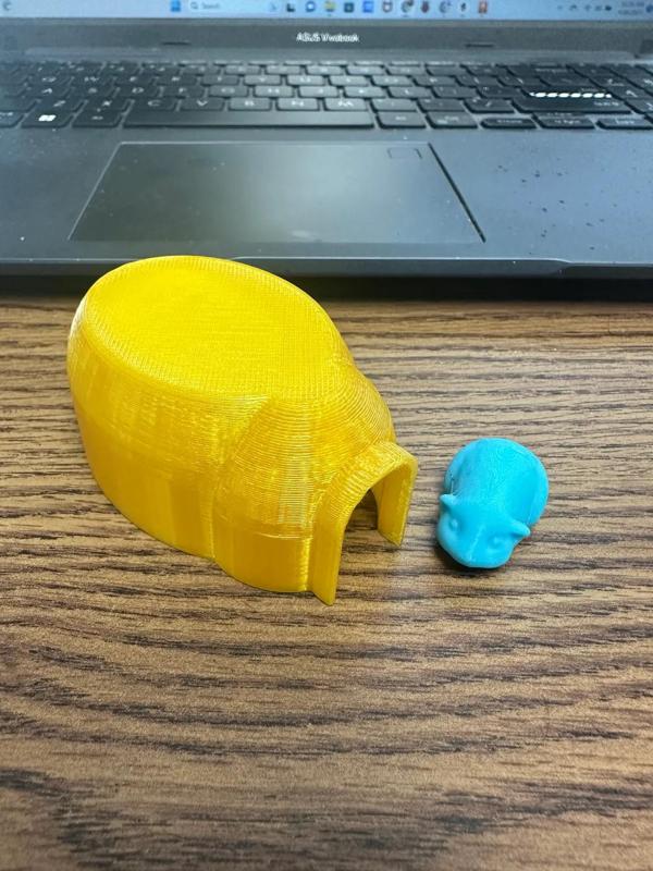 Small Guinea Pig remix without loop