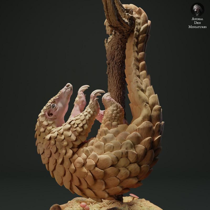 Sunda Pangolin Hanging