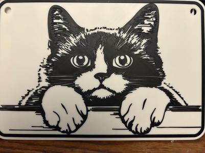ragdoll 3
