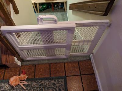 1st Safety Baby-gate - Big dog proof