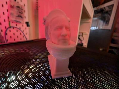Joe Biden in Toilet